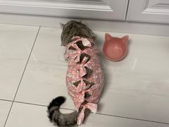 -萌兽医馆·犬猫专科·眼科中心·宠物医院(朝阳门分院)