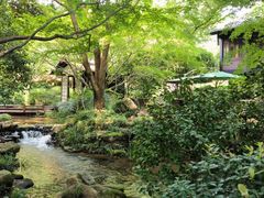 -中国茶叶博物馆(双峰馆区)