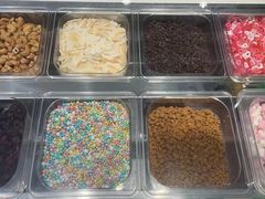 -Salud撒露欧洲冻酸奶(798艺术区店)