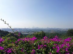 -火炉山森林公园