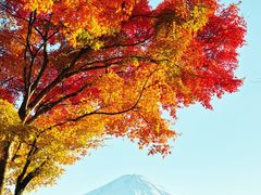 -富士山吉田線五合目