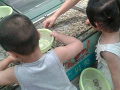 -旺中旺生活超市(居住主题店)