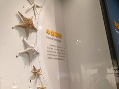 -四川大学博物馆