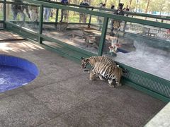 -秦皇岛野生动物园