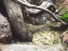 -成都浩海立方海洋公园