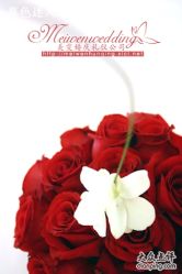 美雯苏宁卢浮宫-苏宁环球套房饭店·宴会厅