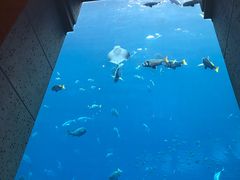 -亚特兰蒂斯水世界冒险乐园