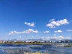 -洱海月湿地公园