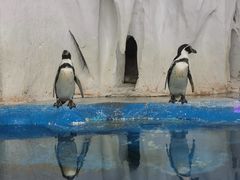 -太平洋海底世界