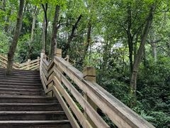 -青城山