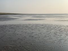 -南汇新城海滩