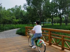 -东郊湿地公园