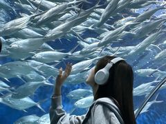 -苏州海洋馆