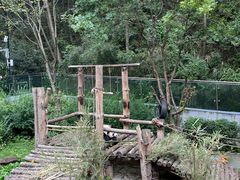-黔灵山公园
