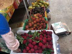 -三亚新鸿港水果一级批发市场