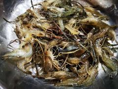 -山城家常菜铁锅炖鱼