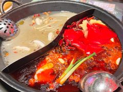 -巴蜀大将火锅(春熙店)