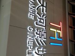 -汉阳天河电影城(王家湾店)