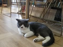 -董小姐咖妃·咖啡·简餐.意面(松江大学城店)