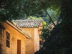 -杨家堂村
