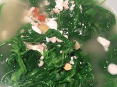 -大榕树下顺德菜(融创茂店)