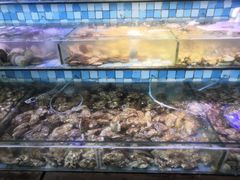 -四海蒸鲜蒸汽海鲜自助(北戴河店)