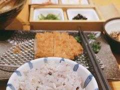 -胜博殿日式炸猪排(西红门店)