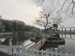 -鹅湖玫瑰文化园