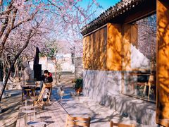 -三里河公园
