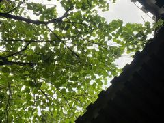 -北平小院设计酒店