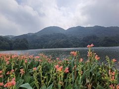 -广州市石门国家森林公园