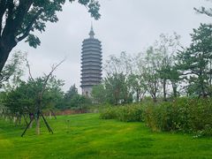 -西海子公园