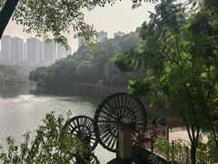 -重庆彩云湖湿地公园