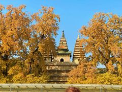 -北京石刻艺术博物馆(五塔寺)