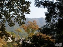 -塔川景区