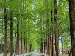 -瑶琳仙境