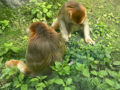-西安秦岭野生动物园