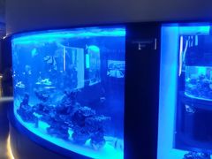 -上和臻品中国菜(花园街店)