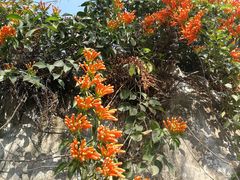 -北海市海滨公园