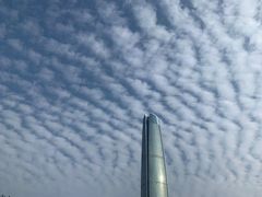 -BeauTea水仙(coco park店)