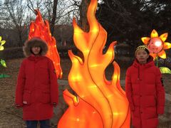 -沈阳奥体冰雪嘉年华