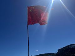 -魚當家