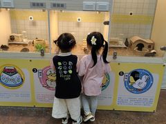 -杭州开元森泊度假乐园