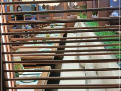 -云海肴·云南小炒·汽锅鸡(曲江大悦城店)