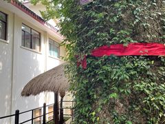 -普陀山雷迪森庄园