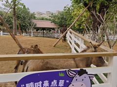 -盈香心动乐园