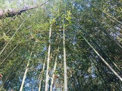 -竹泉村旅游度假区