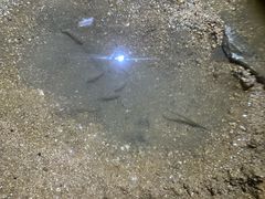 -东戴河风景区-止锚湾