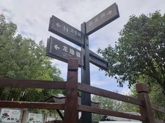 -寻龙山风景旅游区