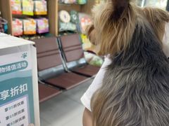 -瑞派宠物医院·24h·骨外科·皮肤科·全科宠物医疗转诊中心(沈阳浑南院)